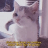 Gatitos para conquistar a tu CRUSH Esta muy largo mi nombre, mejor dime que te gusto.