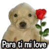Para ti mi love