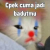 Cute cat sticker 🐈 10