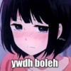 ywdh boleh falata ICONS
