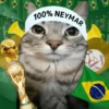 🇧🇷⚽️ BRASIL ⚽️🇧🇷 6