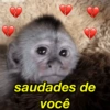 dean schneider saudades de você