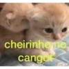 cheirinhomo cangot