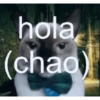 hota (chao)