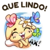 🐱 Gatinha Vanilla 14