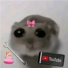 Cricetino Sad Hamster pt.2 19