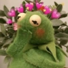 Kermit apaixonadinho  9