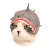 Cats Chapter 1 15