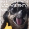 eu simplesmente NAO AGUENTO MAIS