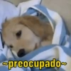 preocupado