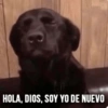 HOLA, DIOS, SOY YO DE NUEVO