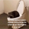mi vida parece antro, nomás entra la gente a hacer su desmadre y se va