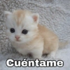 @Harley_Stickers Cuéntame