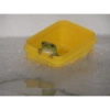 Frog 11