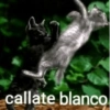 callate blanco