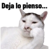 Deja lo pienso...