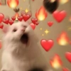 Gatitos_corazoncitos 8