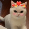 GeysiOy
