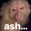 monkeysmonas ash...