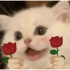 Cute cat sticker 🐈 9