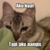 Kucing Galau 10
