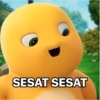 SESAT SESAT