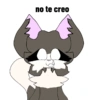 no te creo