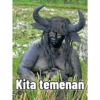 Kita temenan