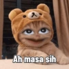 Cute cat sticker 🐈 17