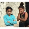 Memes 1.0 6