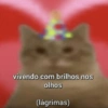SURTOS LEVES & MEMES {😂} 10