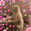 Gatitos_corazoncitos 10
