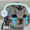 Cute cat sticker 🐈 27