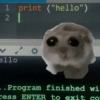 Cricetino Sad Hamster pt.2 5