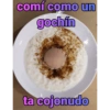 comí como un gochín ta cojonudo
