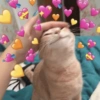 ۔۔۔