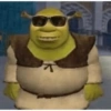 지