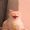 GeysiOy