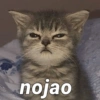 nojao