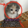 @doctorpunk tadinho ele não consegue ficar 5 minutos sem pensar na pessoa que ele gosta