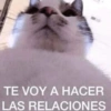 TE VOY A HACER LAS RELACIONES