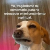 🫪 RANDOM CON FRASES 🫪 5
