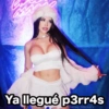 Ya llegué p3rr4s