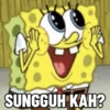 SUNGGUH KAH?