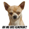 AH ME VAS IGNORAR?