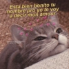 Esta bien bonito tu nombre pro yo te voy a decir mon amour. Gatitos para conquistar a tú CRUSH