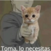🐈‍⬛🤣Michis Lovers Para ti🤣🐈‍⬛ 8