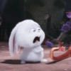 Snowball 🐇 20