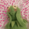 Kermit apaixonadinho  11