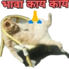 भावा काय काय